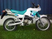 1993 Honda NX 250 photo